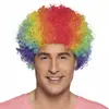 Image de Perruque Pop multicolore - Adulte