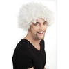 Image de Perruque Afro Blanche