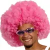 Image de Perruque Afro Rose