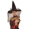 Image de Chapeau De Sorcière