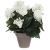 Image de Mica Decorations Plante Artificielle Blanc H30xl25xl25cm