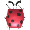 Image de Set De Coccinelle