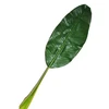 Image de Feuille GÃ©ante de Bananier (101cm)