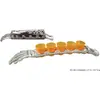 Image de Bras avec 5 verres shooter 37ml - Halloween