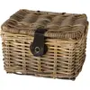 Image de Fastrider Sera Panier à Vélo en Rotin Couvercle Panier à Vélo Beige