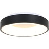 Image de Steinhauer - plafonnier - Ringlede - noir - plastique métal - Ø 38cm - LED - 2562ZW
