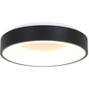 Image de Steinhauer - plafonnier - Ringlede - noir - plastique métal - Ø 48cm - LED - 2563ZW