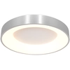 Image de Steinhauer - plafonnier - Ringlede - argent - plastique métal - Ø 38cm - LED - 2562ZI