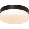 Image de Steinhauer - plafonnier - Ikaro - noir - verre métal - Ø 18cm - LED - 1362ZW