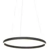 Image de Steinhauer - suspension - Ringlux - noir - plastique métal - Ø 60cm - LED - 3502ZW