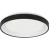 Image de Steinhauer - plafonnier - Ringlede - noir - métal - Ø 28cm - LED - 3690ZW