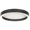 Image de Steinhauer - plafonnier - Ringlux - noir - métal - Ø 30cm - LED - 4134ZW