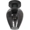 Image de Plafonnier - noir - Bloeba - verre métal - Ø 15cm - E27 - 4372ZW - Steinhauer