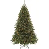 Image de Triumph Tree Sapin De Noël Artificiel Vert H155xl99xl99cm