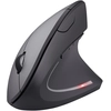 Image de Trust Verto souris Bureau Droitier RF sans fil Optique 1600 DPI - Neuf