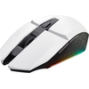 Image de Trust GXT 110 FELOX mouse Right-handed RF Wireless Optical 4800 DPI