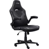 Image de TRUST Trust GXT 703 RIYE Chaise de jeu universelle Noir