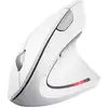 Image de Trust Verto souris Bureau Droitier RF sans fil Optique 1600 DPI - Neuf