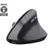 Image de Trust Bayo II souris Médical Droitier RF sans fil Optique 2400 DPI - Neuf