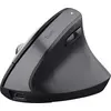 Image de Trust Bayo+ souris Droitier RF sans fil + Bluetooth Optique 2400 DPI