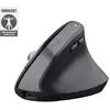 Image de Trust Bayo+ souris Bureau Droitier RF sans fil + Bluetooth Optique 2400 DPI - Neuf