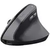 Image de Trust TM-270 souris Bureau Droitier RF sans fil Optique 2400 DPI - Neuf