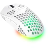 Image de TRUST Trust GXT 929 Helox mouse Gaming Droite RF Sans fil Optique 4800 DPI