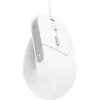 Image de Souris filaire ergonomique Trust Bayo II (Blanc) #4POURCENT