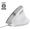 Image de Trust Bayo II souris Bureau Droitier USB Type-A Optique 2400 DPI - Neuf