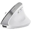 Image de TRUST Trust Bayo+ mouse Office Right-hand RF Wireless + Bluetooth Optical 2400 DPI