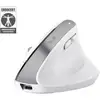 Image de Trust Bayo+ souris Bureau Droitier RF sans fil + Bluetooth Optique 2400 DPI - Neuf