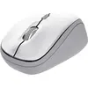 Image de Trust Yvi+ souris Universel Ambidextre RF sans fil + Bluetooth Optique 1600 DPI