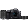 Image de Canon EOS R10 + RF-S 18-150mm F3.5-6.3 IS STM + EF- R MILC 24,2 MP CMOS 6000 x 4000 pixels Noir - Neuf