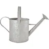 Image de Esschert Design - Arrosoir En Zinc Patiné - 3,5 L - Livraison Gratuite