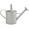 Image de Grand Arrosoir Zinc Patiné 6.5 L