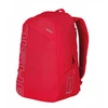 Image de Basil Fahrradrucksack Flex signal rot, Hook On-System, 33x17x52cm, rot