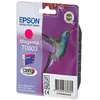 Image de EPSON - Cartouche d'encre EPSON T0803 RED | 1 pièce