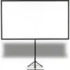 Image de EPSON ELPSC21 - Neuf