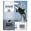 Image de Cartouche d'encre Epson T7607 Noir clair UltraChrome HD 25,9 ml - Neuf