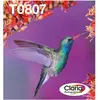 Image de Epson T0807 Easy Mail Packaging - 6-pack - noir, jaune, cyan, magenta, magenta clair, cyan clair - original - boîte - cartouche d'encre - pour Stylus Photo P50, PX650, PX660, PX700, PX710, PX720, PX730, PX800, PX810, PX820, PX830