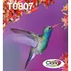 Image de EPSON Multipack 6-colours T0807 Claria - Neuf