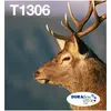 Image de Epson T1306 Multipack Easy Mail Packaging