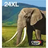 Image de Epson 24XL Multipack Easy Mail Packaging - Pack de 6 - 55.7 ml - XL - noir, jaune, cyan, magenta, magenta clair, cyan clair - original - boîte - cartouche d'encre - pour Expression Photo XP-55, XP-750, XP-760, XP-850, XP-860, XP-950, XP-960, XP-970