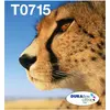 Image de Epson T071 Easy Mail Packaging