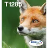 Image de Epson Fox Multipack 4-colours T128 Easymail