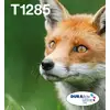 Image de T12854511 MULTIPACK EASY MAIL PACK - Neuf