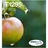 Image de Epson Cartouche d'encre T1295 noir (11,2ml)