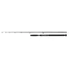 Image de Shimano Beastmaster AX Catfish 220cm 120g 2pc Welsrute