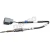 Image de Capteur, Abgastemperatur