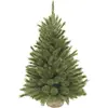 Image de Triumph Tree Arbre de Noël artificiel Forest frosted - 62x62x90 cm - Aiguille dure - Vert